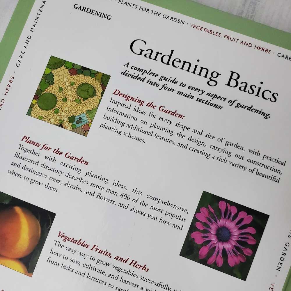 Gardening Basics: How to design ... - Picture 9 of 11